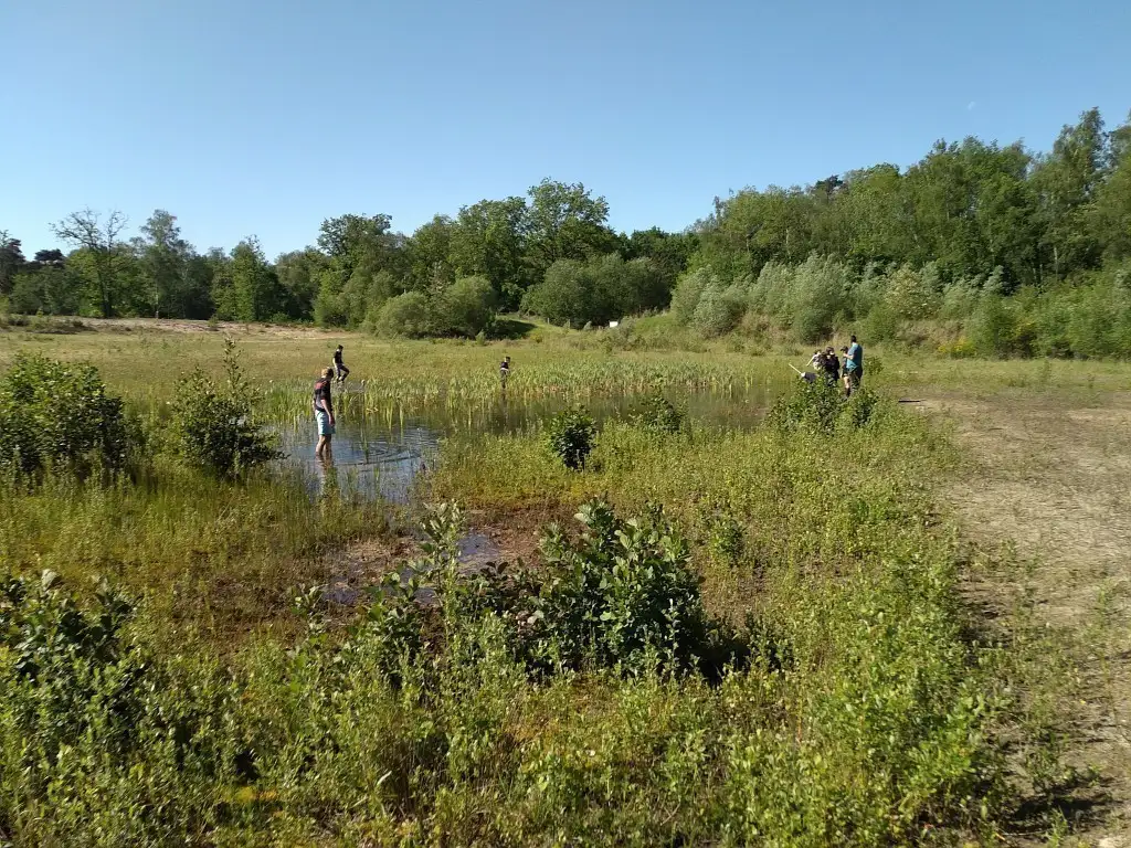 Les communaux de Royaucourt-et-Chailvet (Aisne)