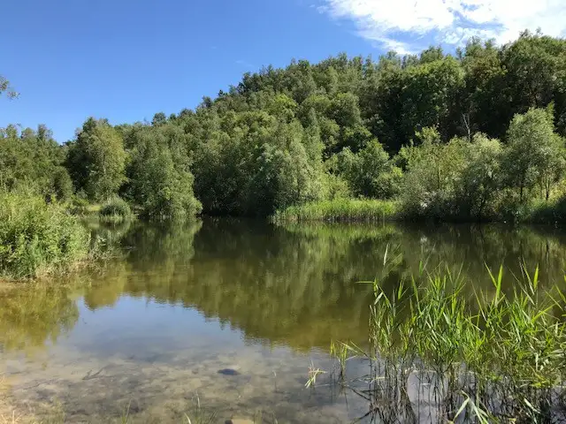 Les jardins aquatiques du Sabatier, Raismes (Nord)