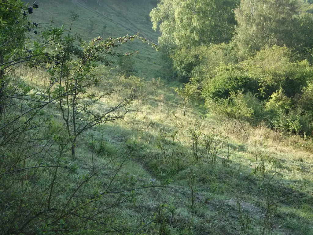 Les larris communaux de Démuin (Somme)