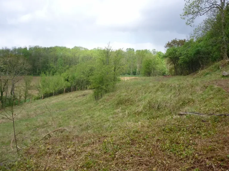 Photographie du site des pelouse (calcicoles) de Montchevillon à Oulchy-la-Ville (Aisne)