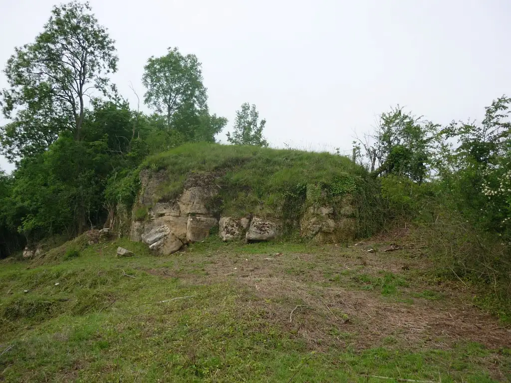 Les pelouses de Montchevillon, Oulchy-la-Ville (Aisne)