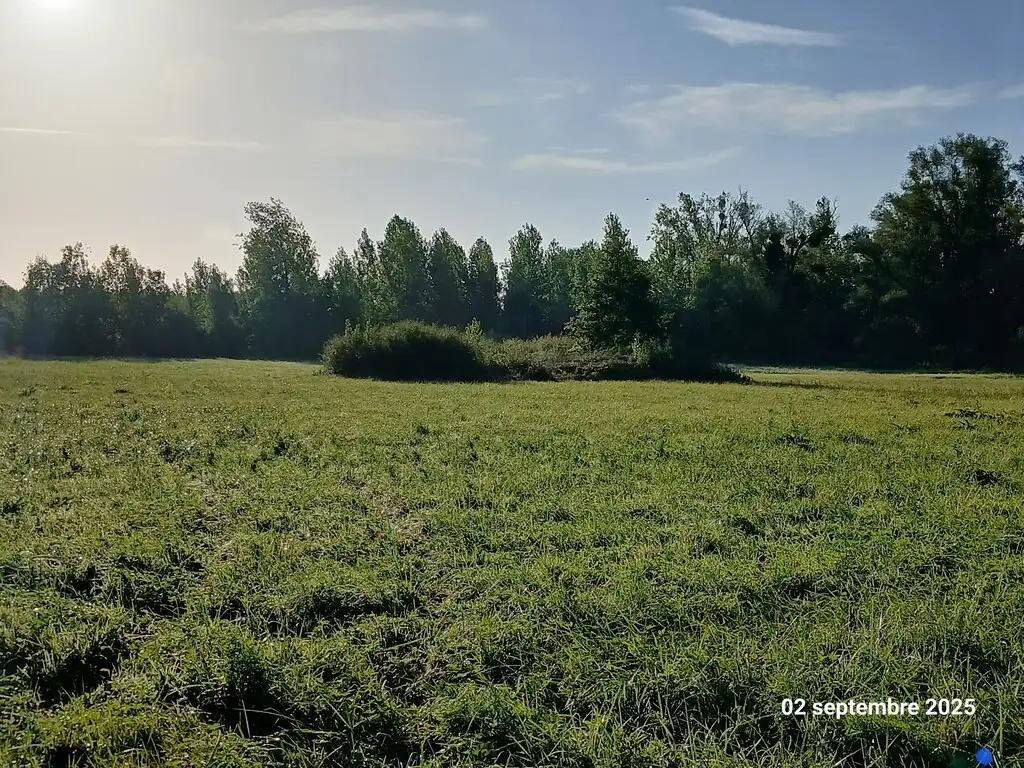 Les prairies inondables, Travecy/Achery/Mayot (Aisne)