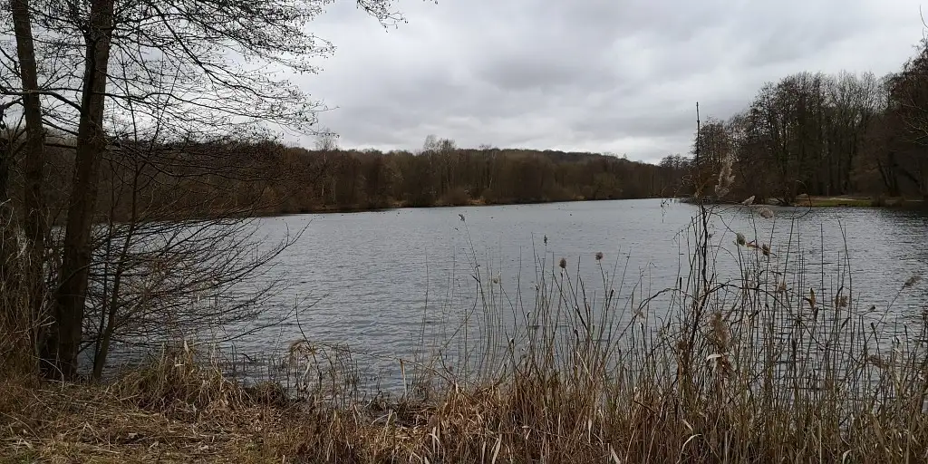 Marais Chantraine, Saint-Vaast-lès-Mello (Oise)