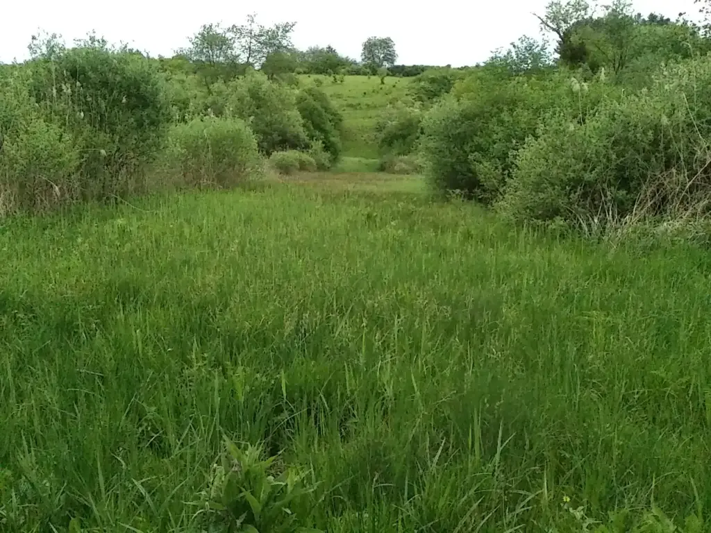 Marais Le Garennier, Arcy-Sainte-Restitue (Aisne)