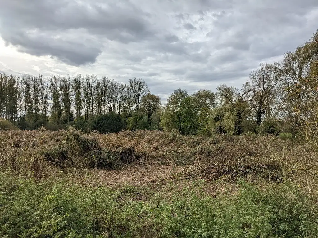 Marais Philippe Rapeneau, Fampoux (Pas-de-Calais)