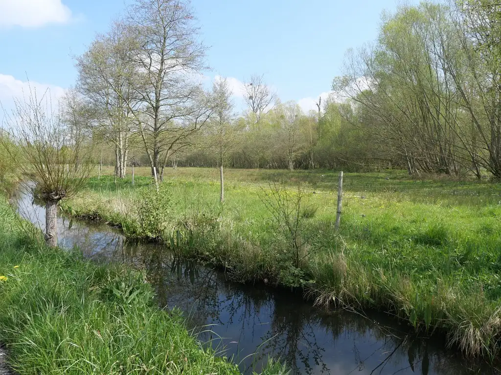 Marais Saint-Gilles, Abbeville (Somme)