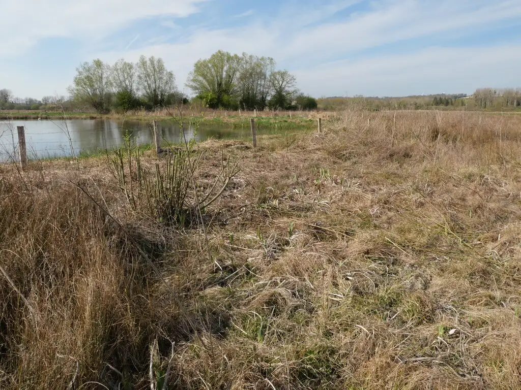 Marais communal d'Eaucourt-sur-Somme