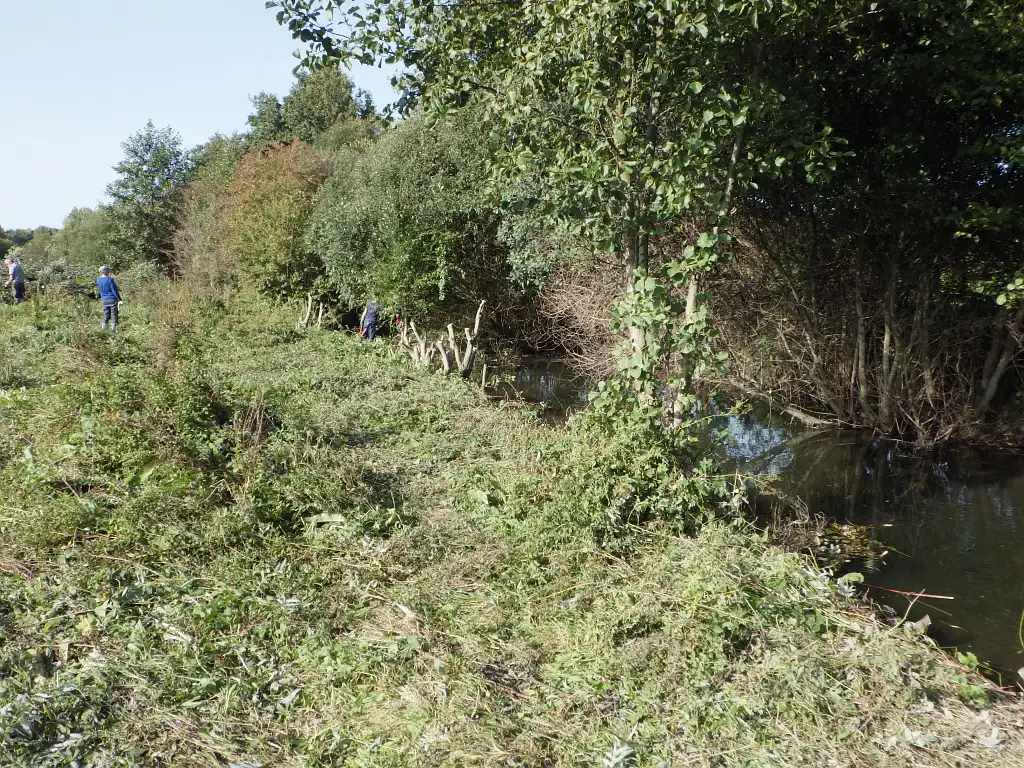 Marais communal de Camon (Somme)
