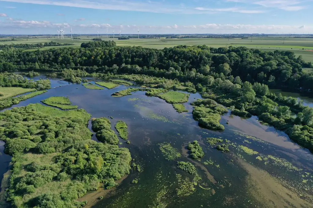 Marais communal de Cléry-sur-Somme
