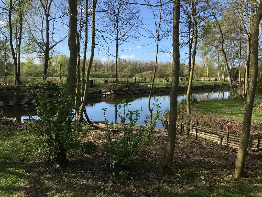 Marais communal de Glisy (Somme)
