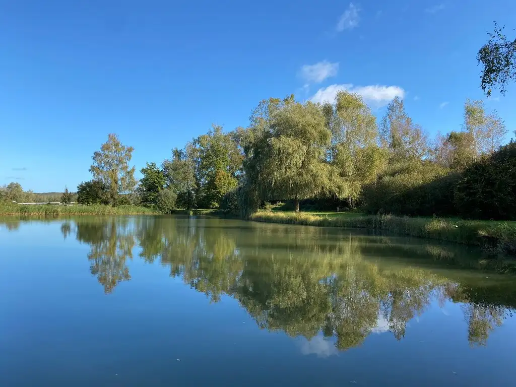 Marais communal de Vauxaillon (Aisne)