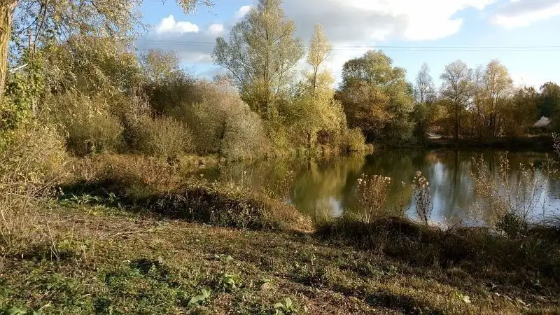 Marais communaux de Thennes (Somme)