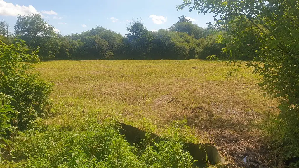 Marais de Beaurainchâteau, Beaurainville (Pas-de-Calais)
