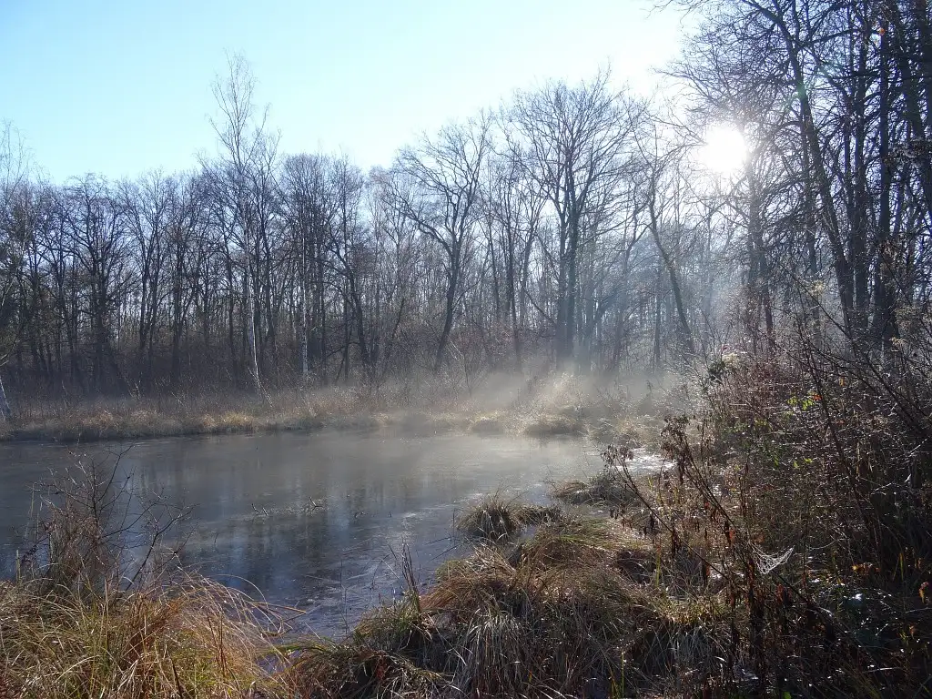 Marais de Bourneville, Marolles (Oise)