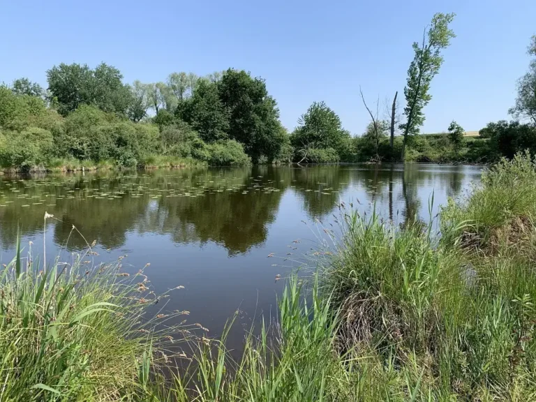 Photographie du Marais de Morcourt dans la Somme. Milieu naturel humide
