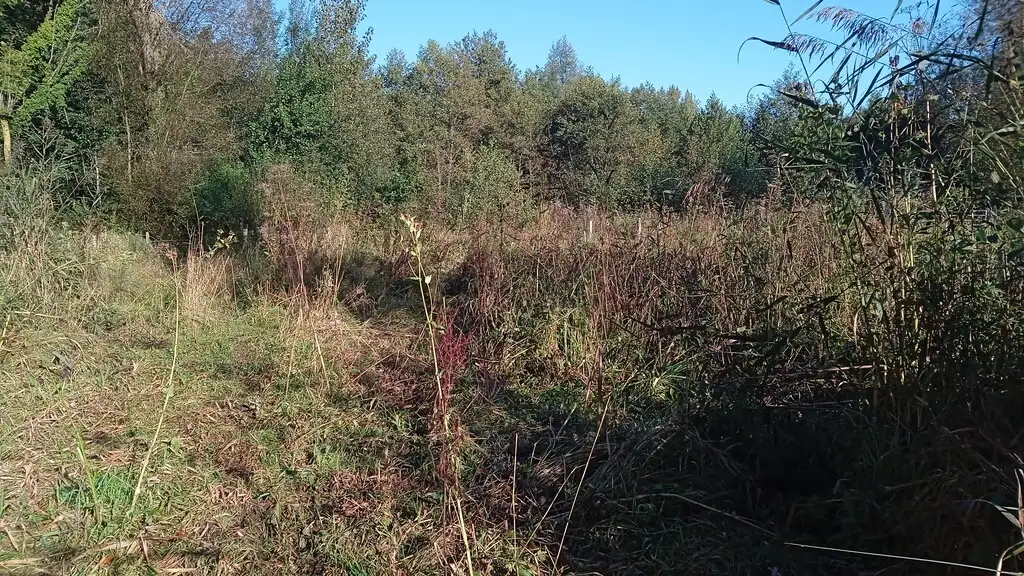 Marais de Pernes (Pas-de-Calais)