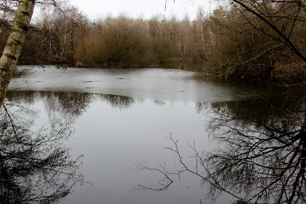 Marais de Reilly (Oise)