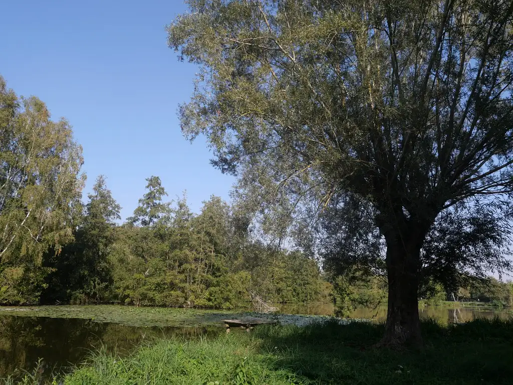 Marais de Saint-Simon (Aisne)