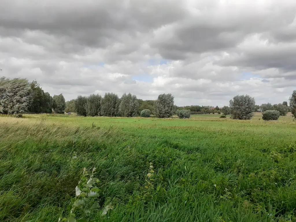 Marais de Solesmes (Nord)