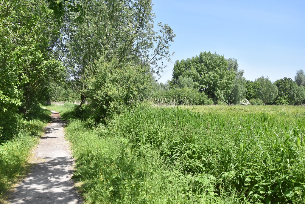 Marais de Vendin-lès-Béthune (Pas-de-Calais)