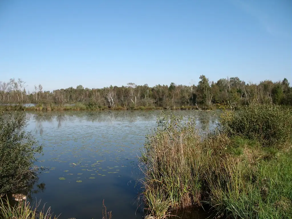 Marais de la Souche/ Terrains Julien, Pierrepont/Missy-les-Pierrepont (Aisne)