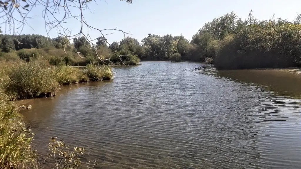 Marais du Château, Bourdon (Somme)
