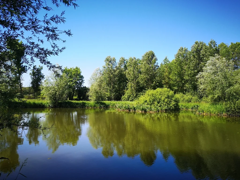 Marais de St-Laurent-Blangy