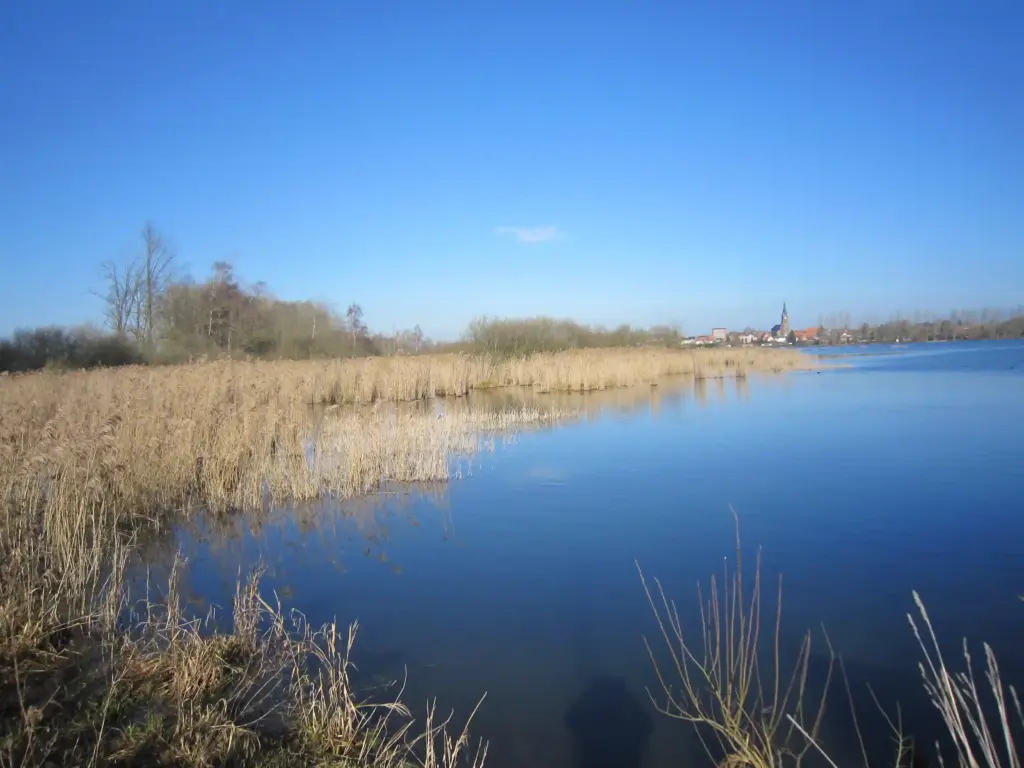 Le Marais de Rumaucourt (Pas-de-Calais)