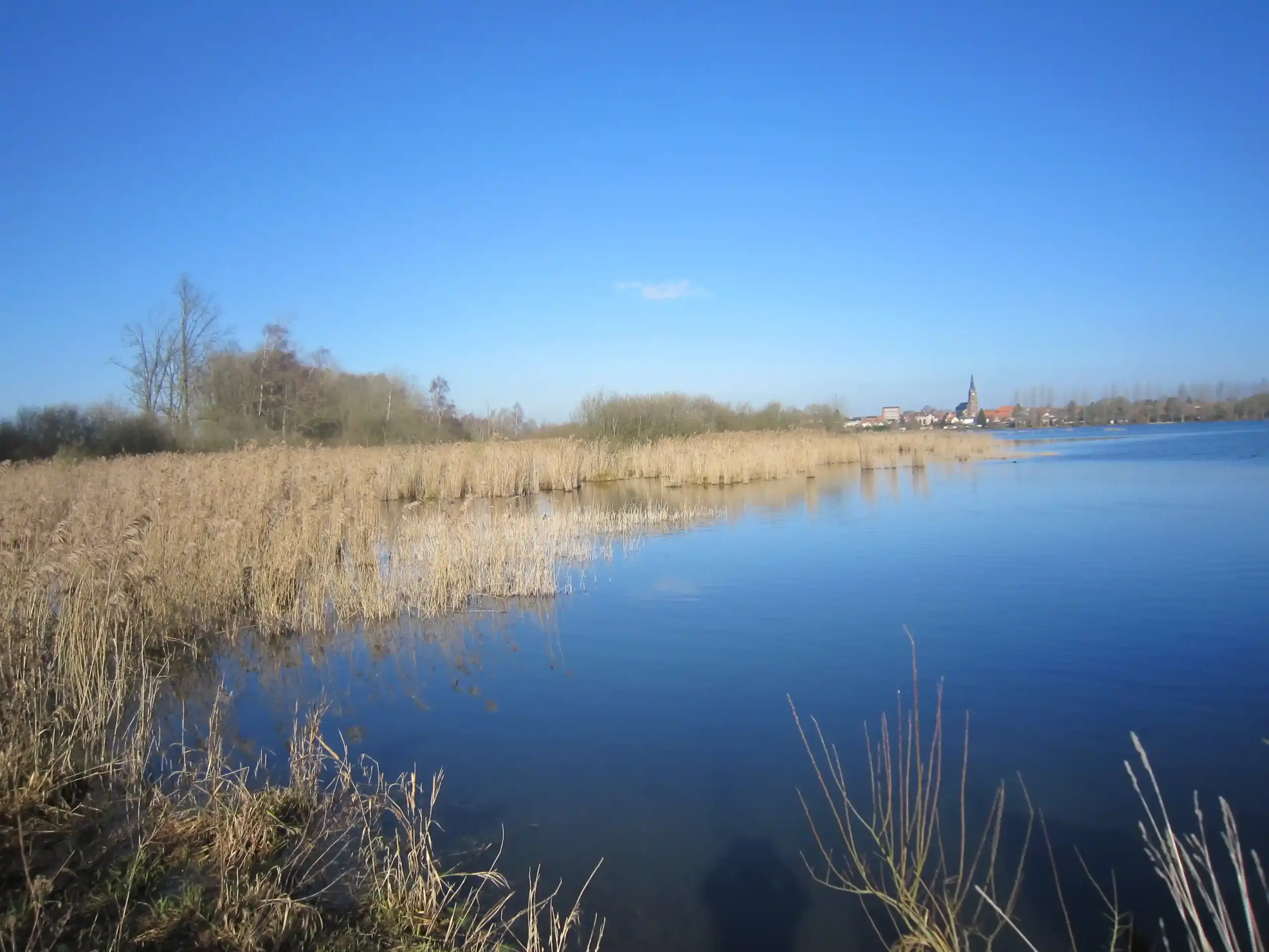 Le Marais de Rumaucourt (Pas-de-Calais)