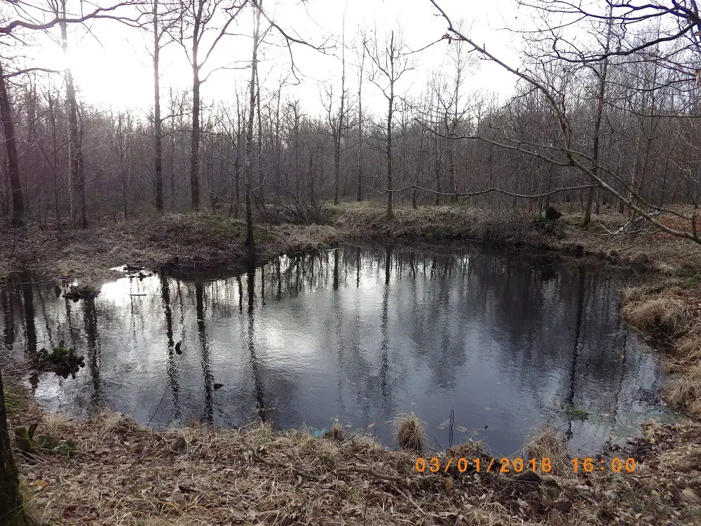 Mare de Reuilly-Sauvigny (Aisne)