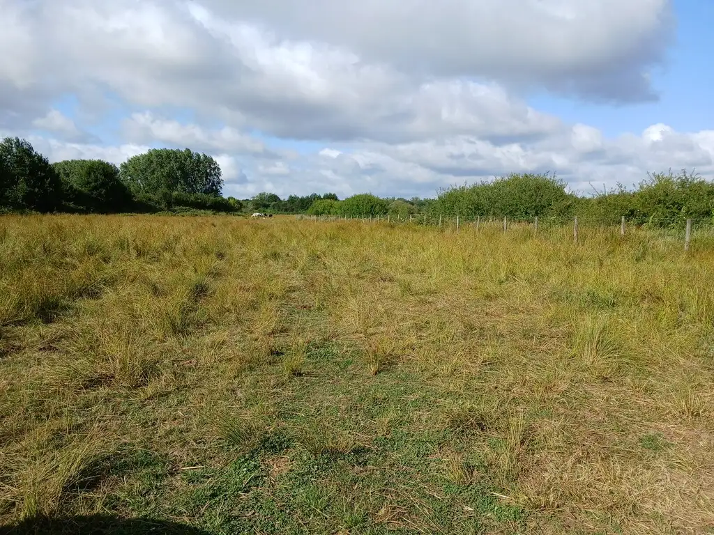 Photographie du paysage du site de la Marlière de Feignies (Nord)