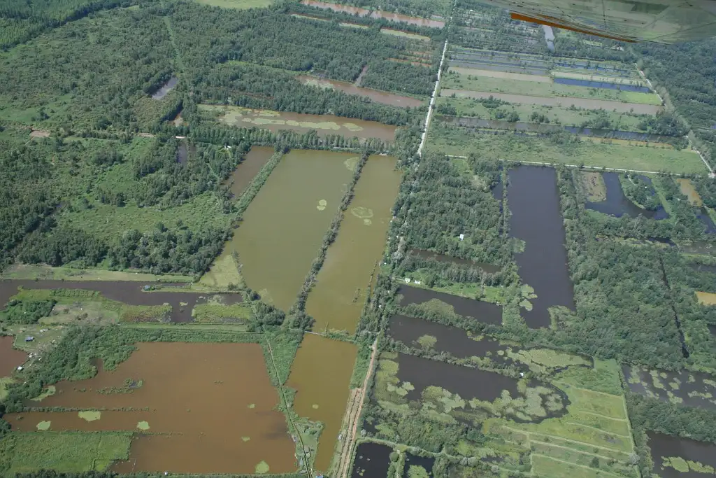 Photographie aérienne des marais de Missy-les-Pierrepont (Aisne)