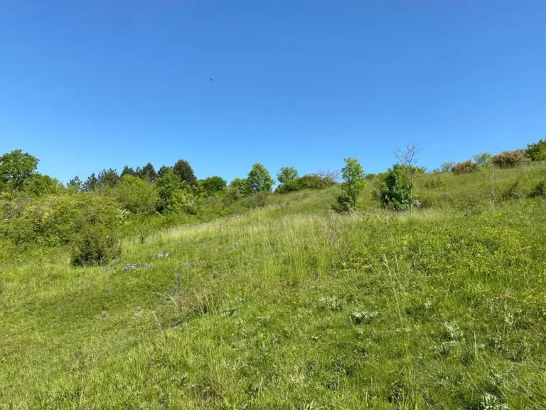 Mont Bossu, Chevregny (Aisne)