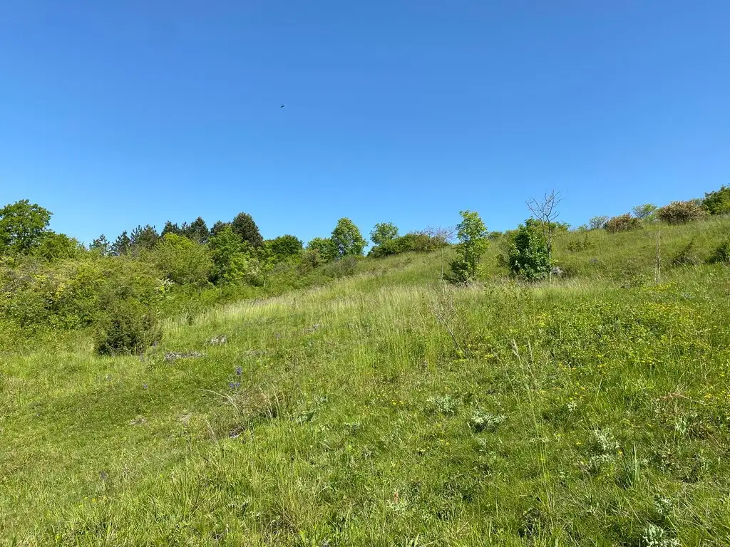 Mont Bossu, Chevregny (Aisne)