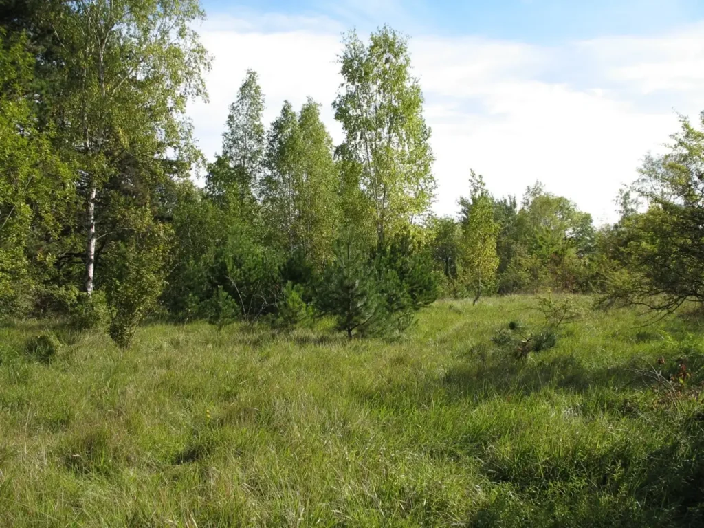 Mont-Pigeon, Bruyères-et-Montbérault (Aisne)