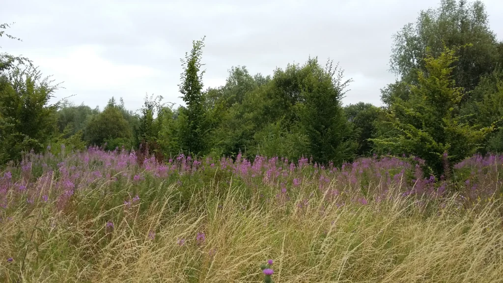 Mont de Rétiau, Onnaing (Nord)