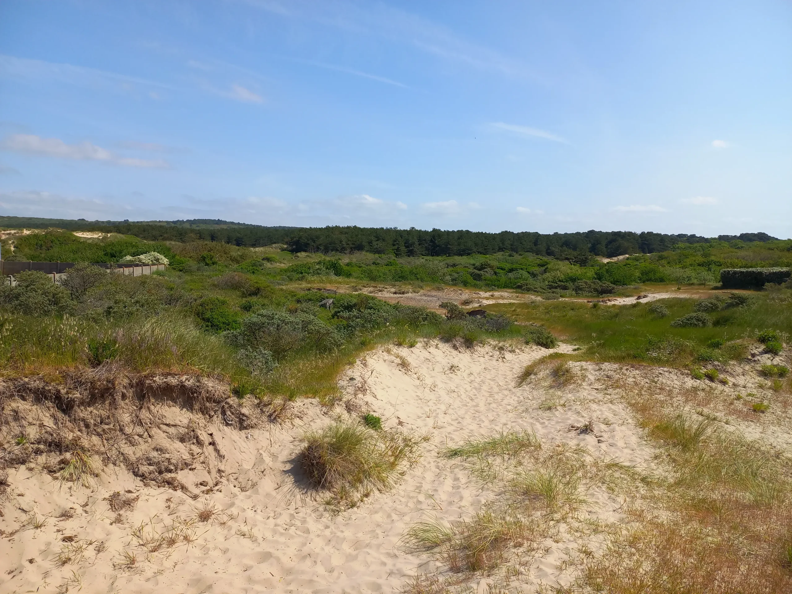 ORE Dune d'Hardelot (Pas-de-Calais)