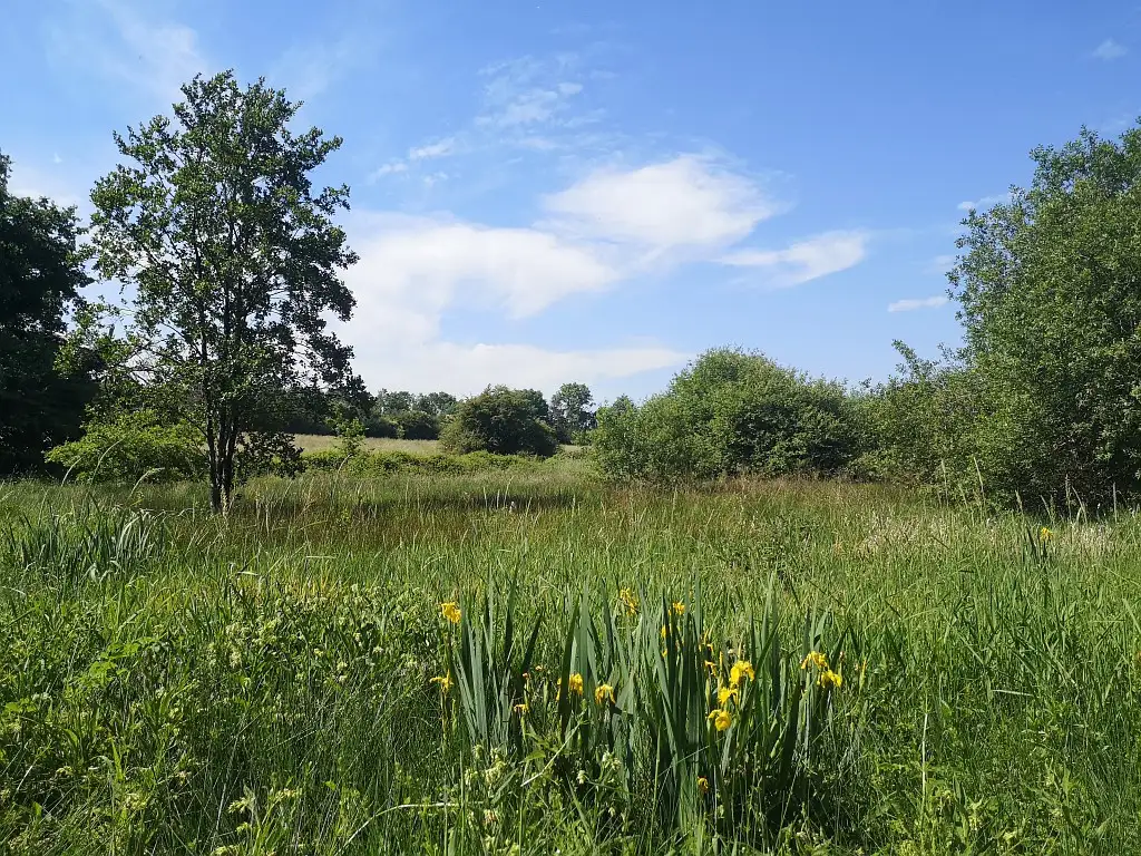 Parc à Poulain, Saint-Germer-de-Fly (Oise)