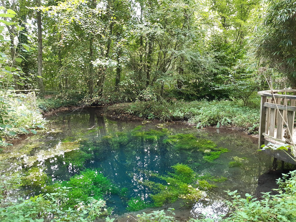 Parc de la Bouvaque, Abbeville (Somme), Source bleue