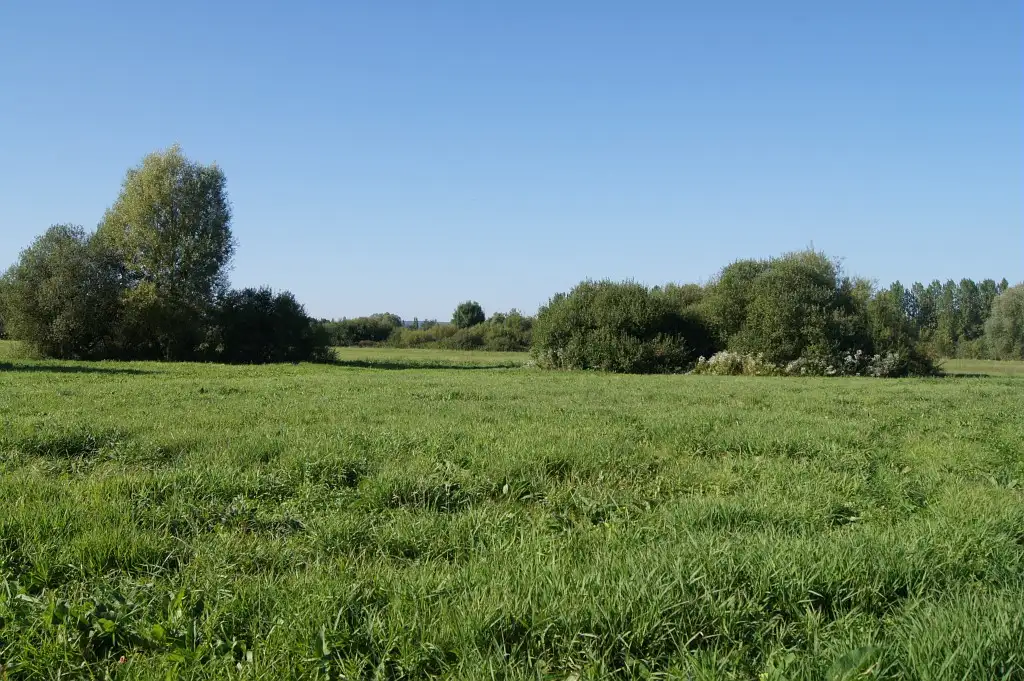 Prairie de Brétigny, Quierzy (Aisne)
