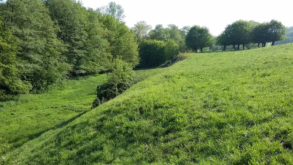 Prairie du Trieux Madame, Obrechies (Nord)