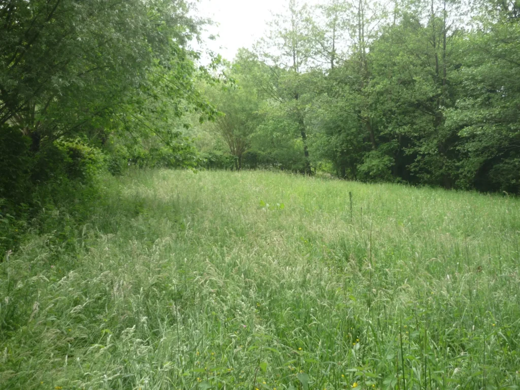 Prairies de l'Yser, Herzeele (Nord)