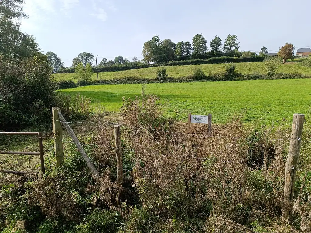 Photo Prairies de la Maresse, Taisnières/Marbaix (Nord)