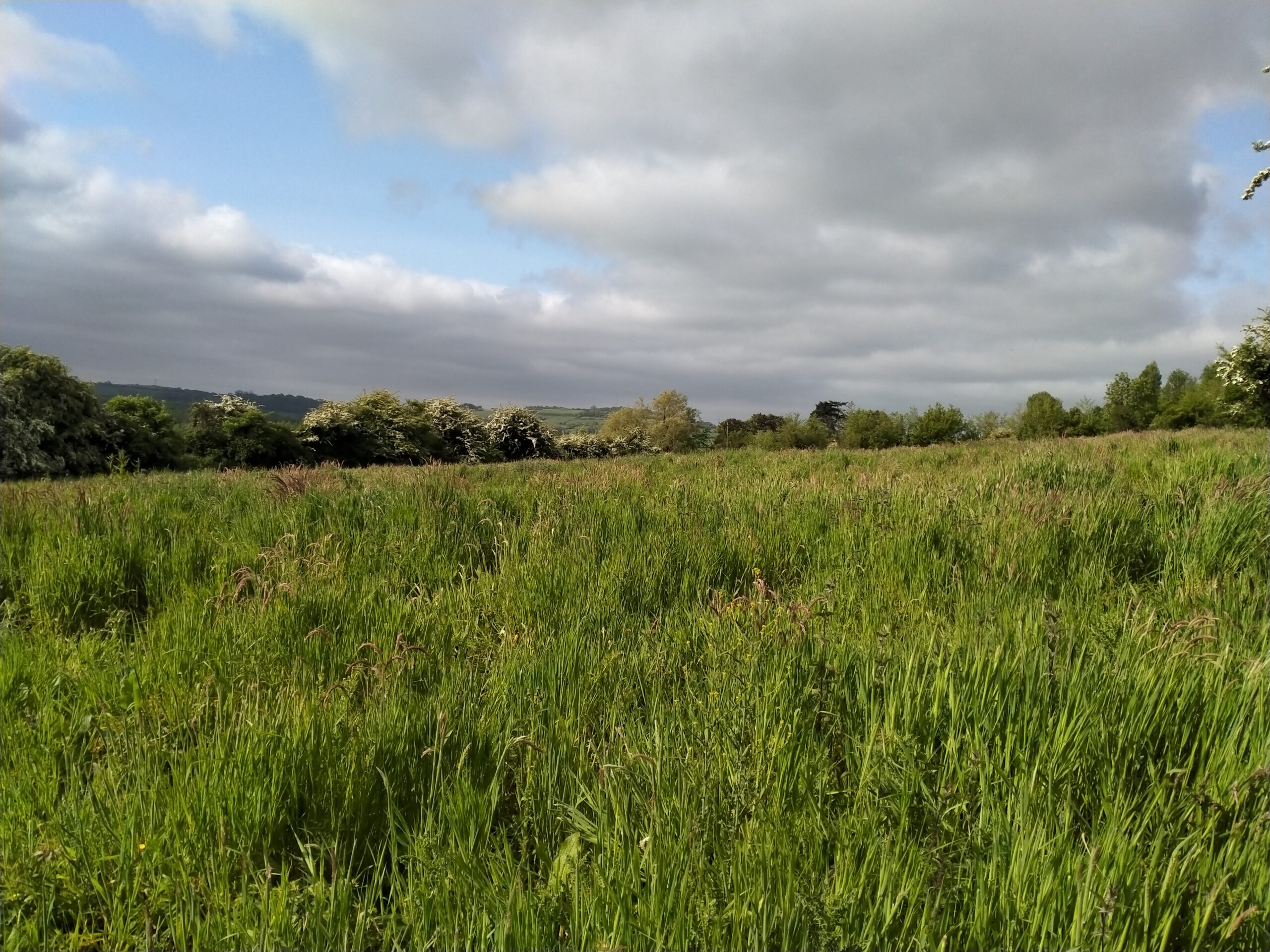 Prairies du Boudoir, Baincthun