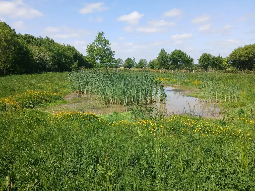 Prairies du Luitheau, Semousies (Nord)