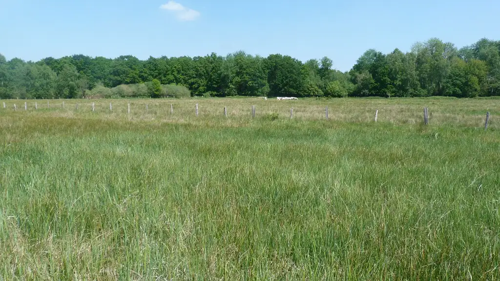 Prairies du Mont-Hérault, Mauregny-en-Haye (Aisne)