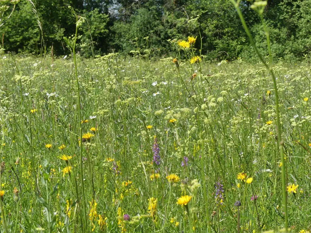 Presles-et-Thierny (Aisne)