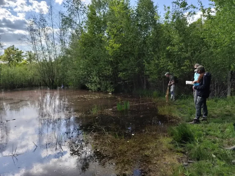 Photographie d'une des mares de la réserve naturelle nationale des Landes de Versigny (Aisne). Des personnes du CEN Hauts-de-France y travaillent.