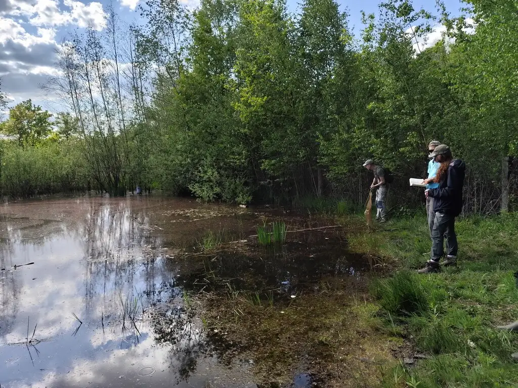 RNN – les landes de Versigny