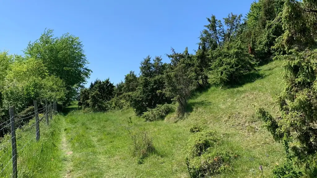 Réserve naturelle régionale (RNR) Les Riez de Noeux-les-Auxi (Pas-de-Calais)